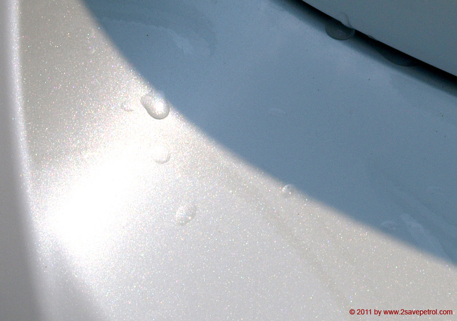 Lexus RX350 paint detailing 235519_a